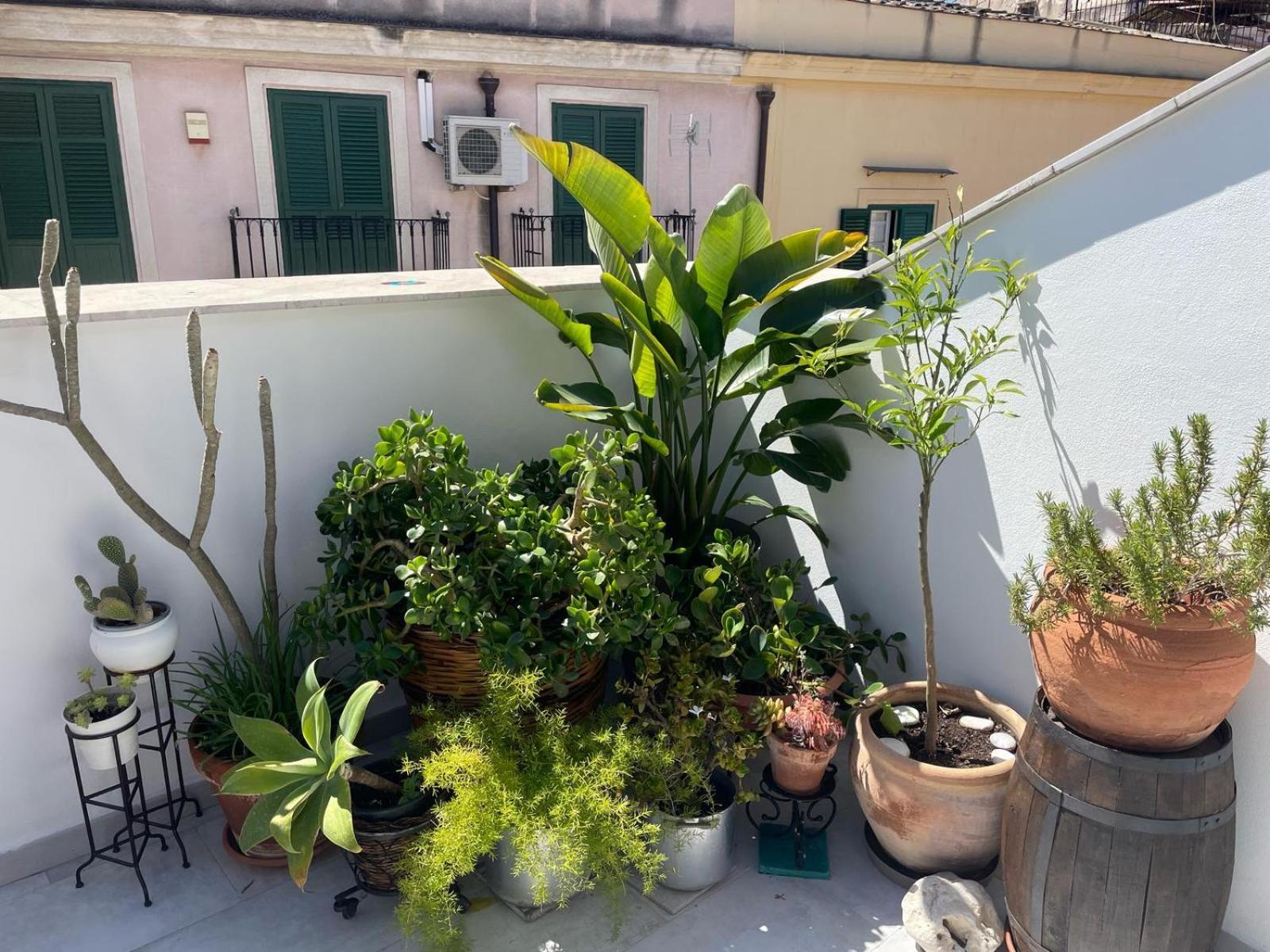 Terrazza Alla Cala Palermo Buitenkant foto
